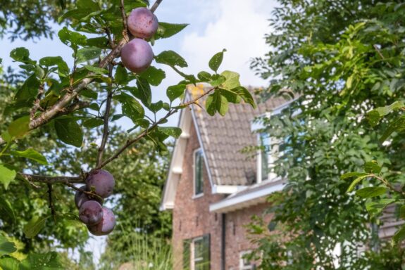 Eilandseweg 9, Nederhorst den berg